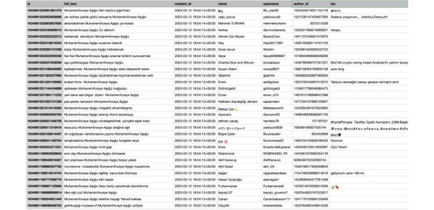 Sosyal medyanın Muharrem İnce aşkı 'fake' çıktı