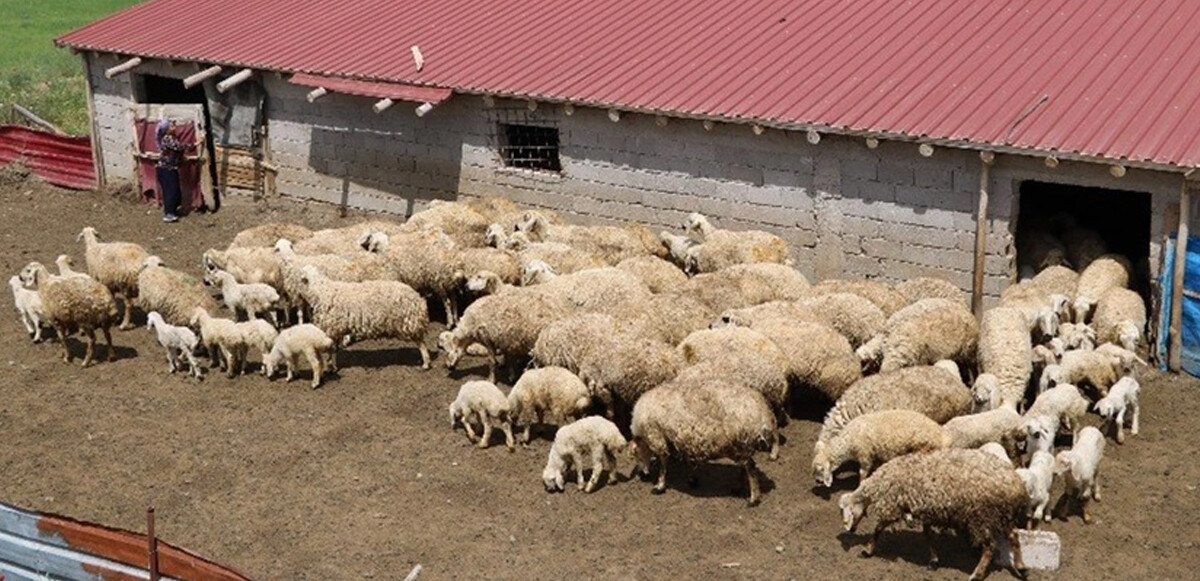 Zonguldak&#039;ta alarma geçildi! 15 köy karantinaya alındı 