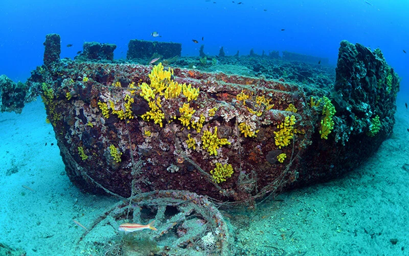 Çanakkale Savaşları'ndan kalma 108 yıllık batık gemiler görüntülendi