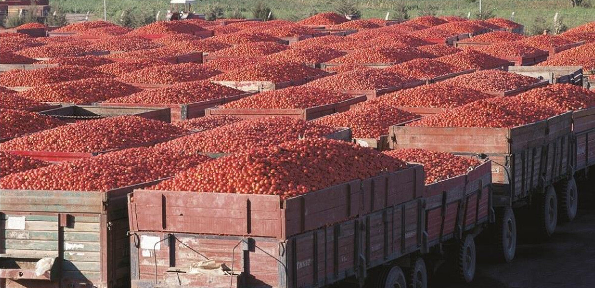 Merko Gıda konsolide satışlarını yüzde 507 artırdı