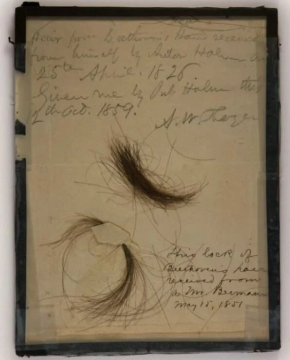 Beethoven’ın ölüm sebebi 200 yıl sonra ortaya çıktı