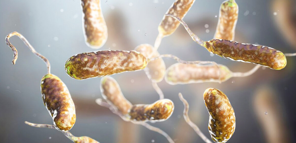 Bilim insanlarından et yiyen bakteri uyarısı: İklim değişikliği nedeniyle ikiye katlayacak