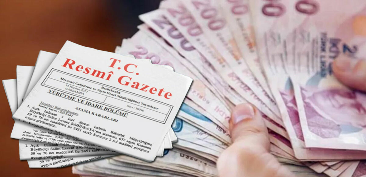 Karar Resmi Gazete&#039;de yayımlandı: 2 yeni banka daha kuruluyor