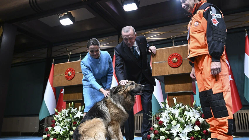 Erdoğan'dan Avrupa ülkelerine tahıl koridoru uyarısı: Ben de Putin de rahatsızız Erdoğan'dan Avrupa ülkelerine tahıl koridoru uyarısı: Ben de Putin de rahatsızız