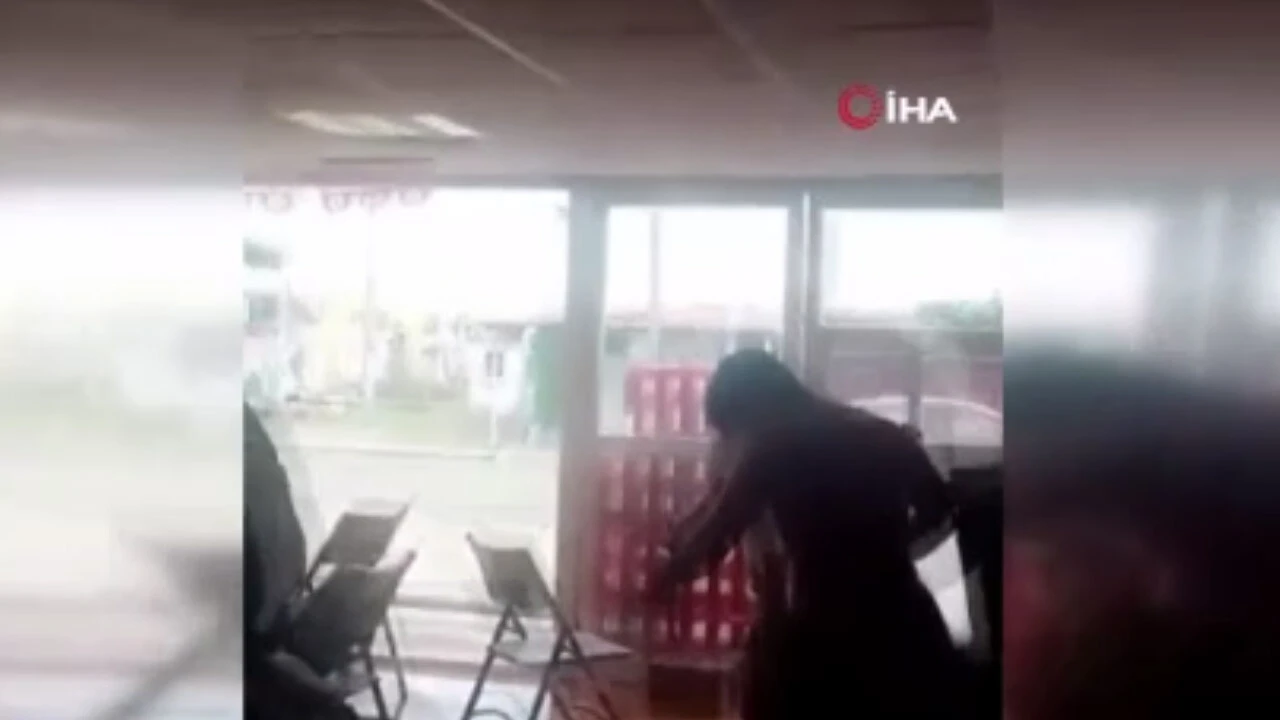 Meksika’da yaban arıları insanlara saldırdı: 1 kişi hayatını kaybetti