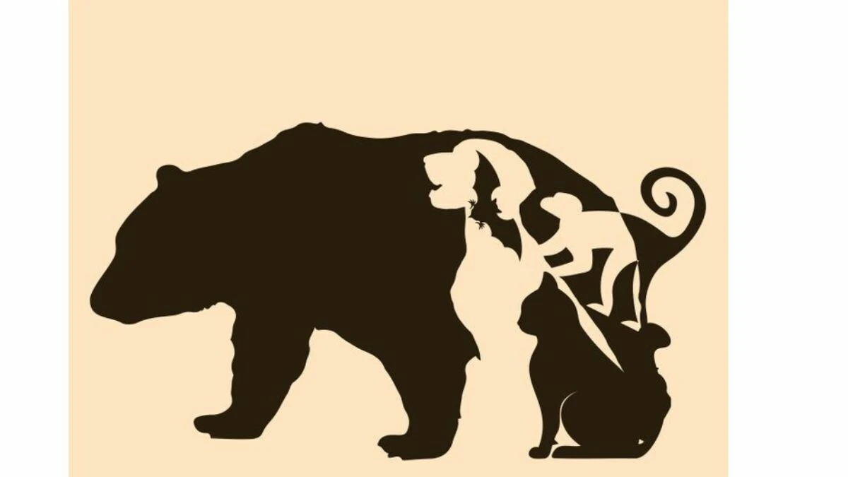 7 saniyeniz var! Sadece berrak zihinliler resimde kaç <a href=