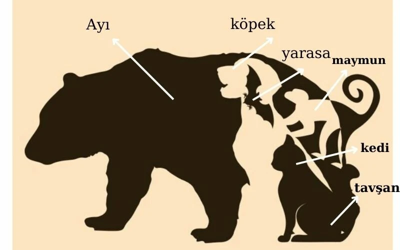 7 saniyeniz var! Sadece berrak zihinliler resimde kaç hayvan olduğunu görebiliyor