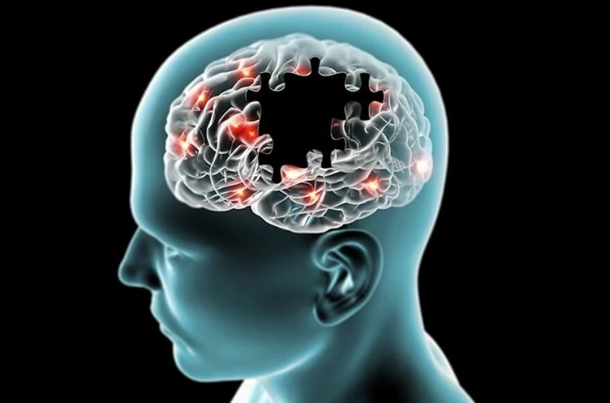 Doğal yollar ile fil gibi bir hafızaya sahip olmak mümkün! Bu besinler ile Alzheimer'a savaş açacaksınız!