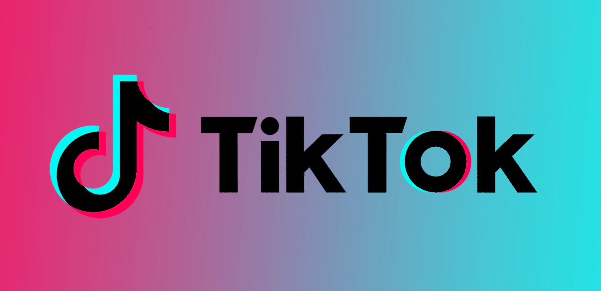 TikTok’a rekor mahremiyet cezası: Tam 305 milyon lira