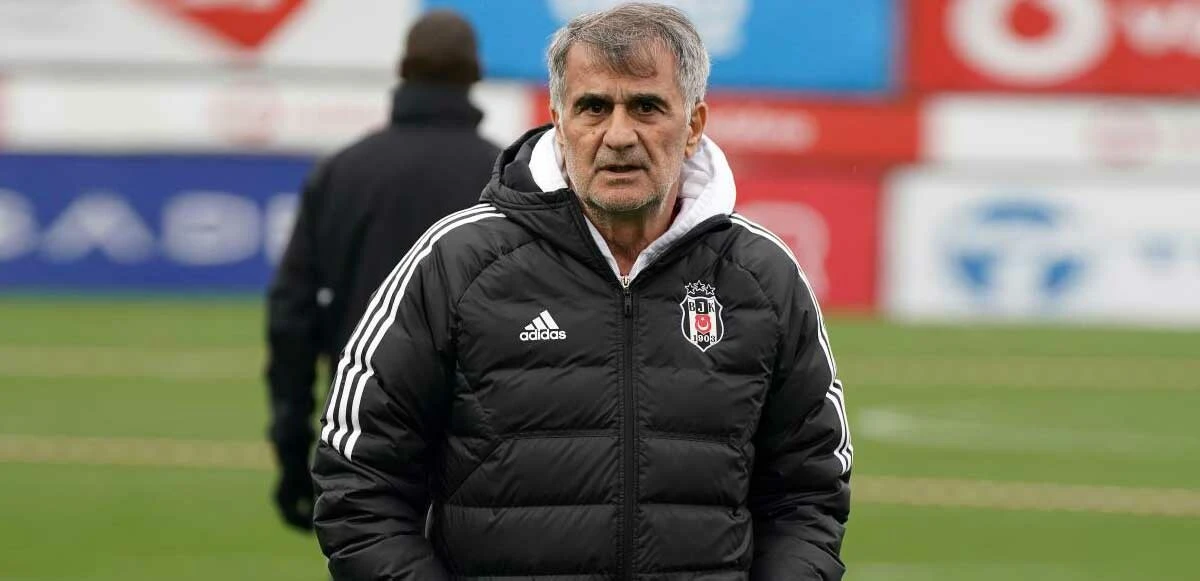 Şenol Güneş: 