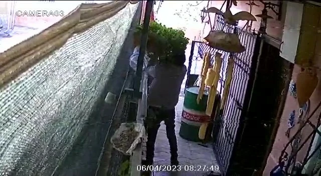 Ev sahibinin gözü önünde girdiği bahçeden saksıyı sırtlayıp götürdü