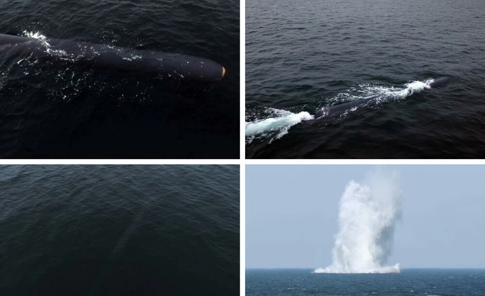 Hedef nükleer tsunami! Kuzey Kore'den çok tehlikeli bir saldırı denemesi