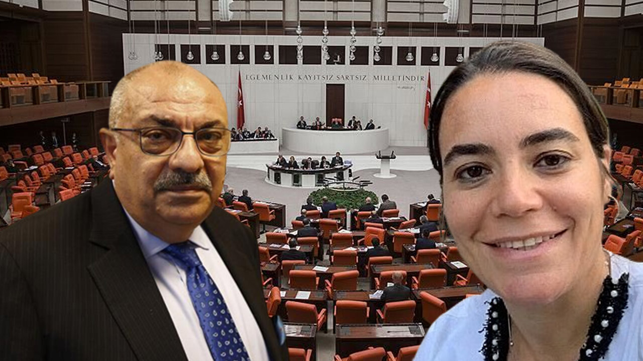 Türkeş kardeşler farklı partilerde! Alparslan Türkeş’in kızı Ayyüce Türkeş Taş İYİ Parti’den aday!