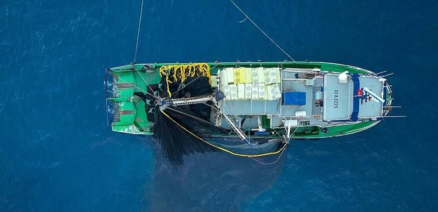 Av yasağı başladı, balıkçılar rotayı uluslararası sulara kırdı