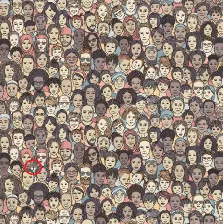 800 kişiden 11’i bulabildi! Sadece dâhiler, insanların arasındaki kediyi 15 saniyede buluyor