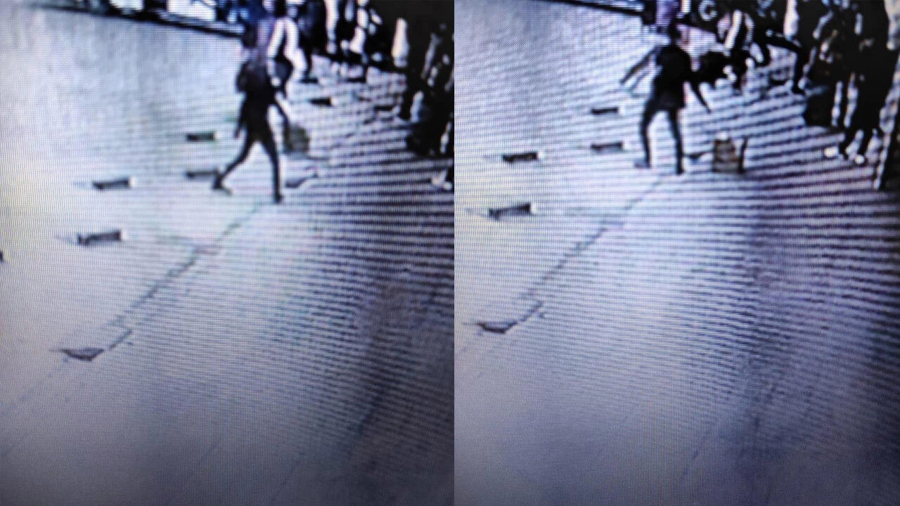 İzmir'den Kırşehir'e gönderilen köpek kutuda ölü bulundu