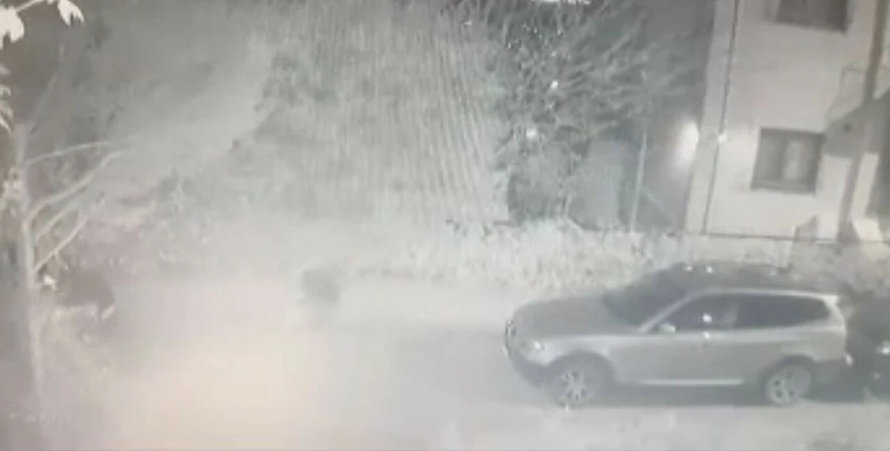 İstanbul'da korkunç olay! Eve gelen inşaat ustaları anne-kıza dehşeti yaşattı