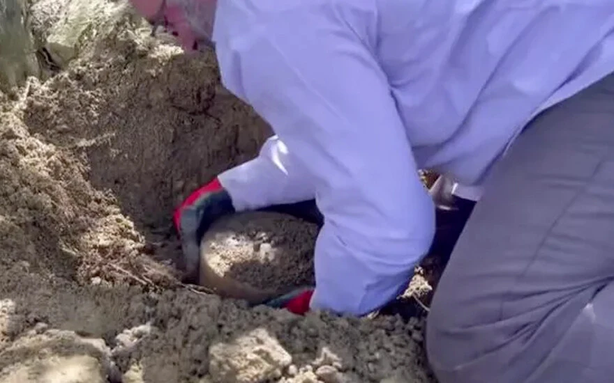 Guinness Rekorlar Kitabı 5 yıl toprağın altında bozulmadan sakladı: Amasyalı çiftçi <a href=