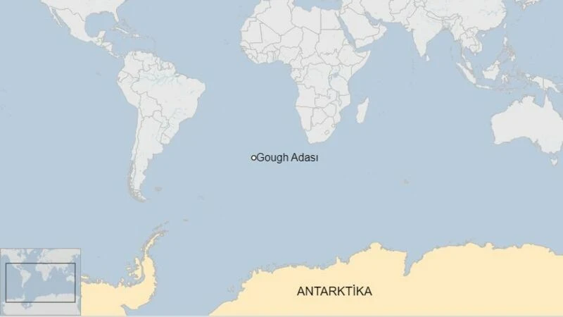 13 ay en az 670 bin TL kazanma şansı! Gough Adası'nda çalışacak kişi aranıyor! Türkiye'den de başvuru alıyor