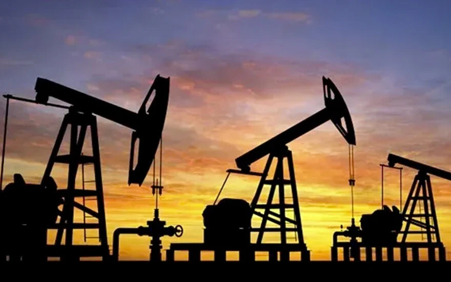 Süleyman Soylu, "Suudi Arabistan kalitesinde" diyerek Gabar'daki petrolün detaylarını paylaştı