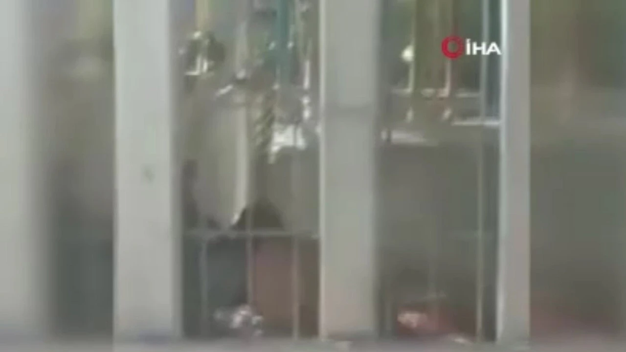 Hayvanat bahçesinde dehşete düşüren olay! 6 yaşındaki çocuğu saniyeler içinde parçaladı