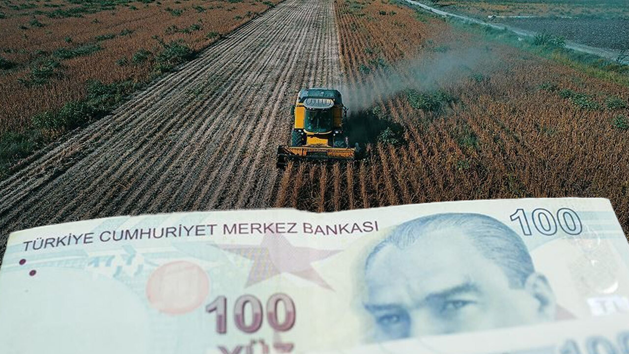 TC kimlik numarasına göre yatırılacak! Destek ödemeleri başladı