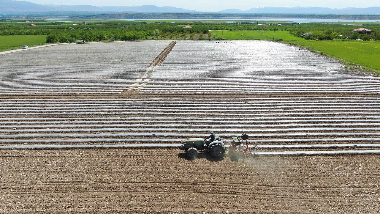 Deprem tarımı da biçti, mevsimlik işçi bulunamıyor