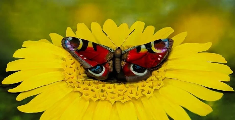 Sadece bir dahi çiçekteki gizli kadını 5 saniyede görebiliyor!