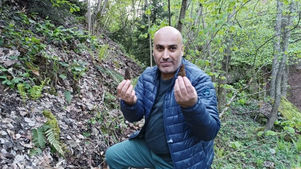 Mantar avcıları ortaya çıktı