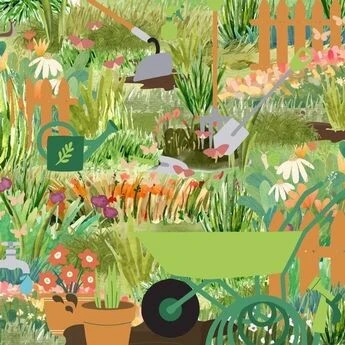 Süre 60 saniye! Sadece üstün zekalılar 2 salyangozu görebiliyor!