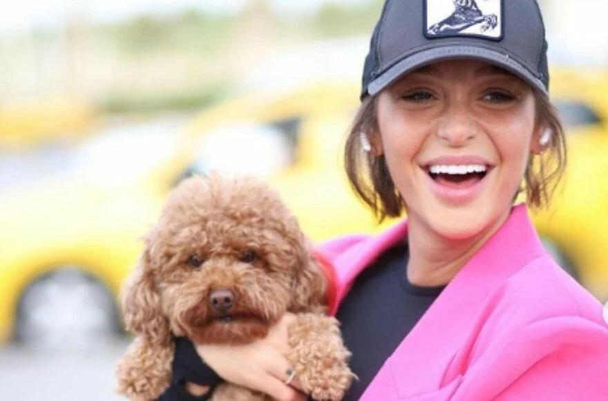 Camdaki Kız dizisinde Hayri çirkinliği sürüyor! Seyirciyi ayaklandıran sahneler var!