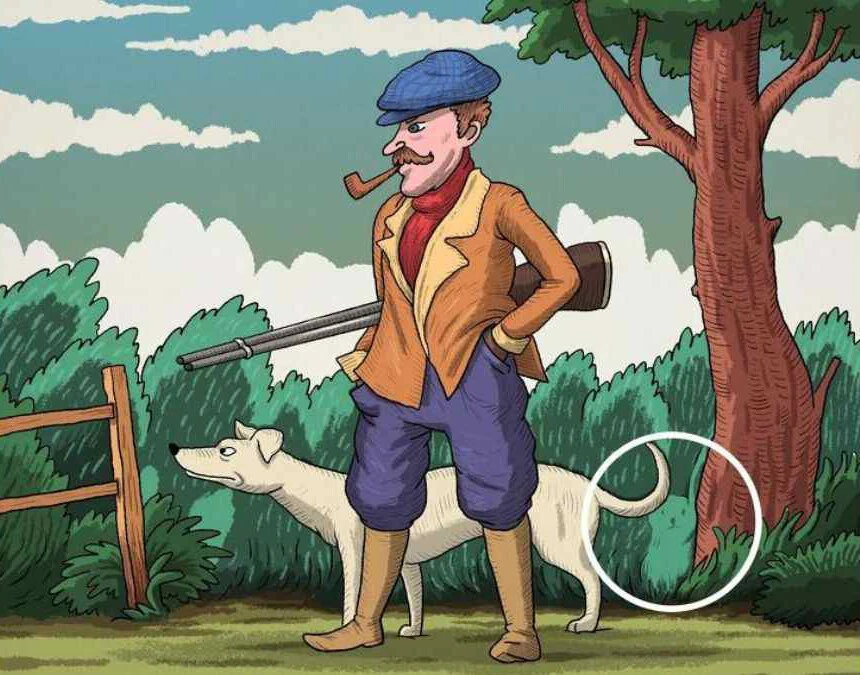 Süper zekâ testi: İkinci hayvanı 11 saniyede bulanın zekâsı Einstein ile yarışıyor!