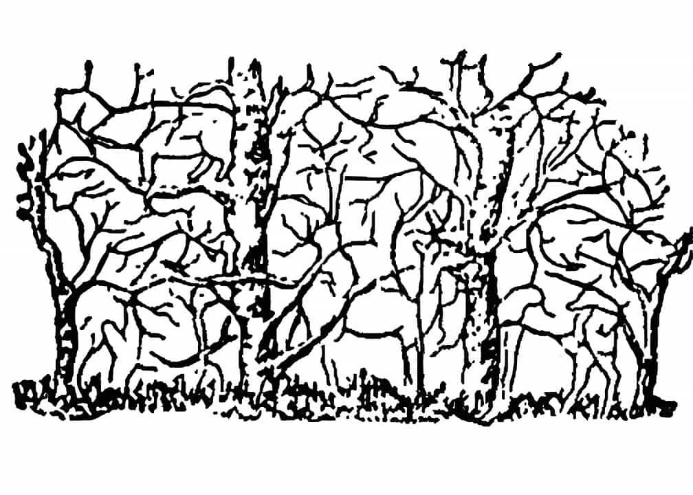 Dikkat testi: Resimdeki gizli zürafayı 6 saniyede bulabilenin görsel zekası üstün kabul ediliyor!