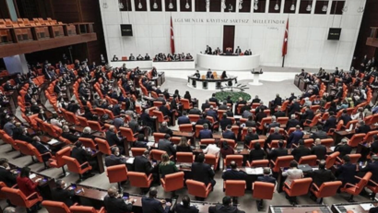 Yeni Meclis'te dikkat çeken tablo: 31 milletvekili aynı isme sahip