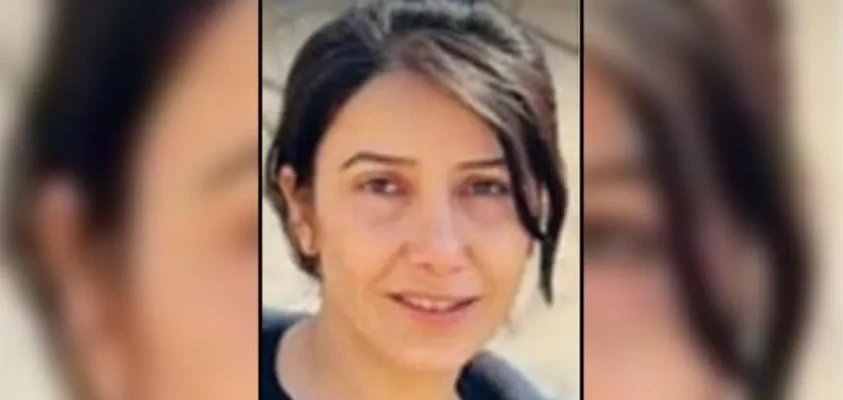 Bakan Soylu duyurdu! Mehmetçik'ten PKK'ya ağır darbe: 5 terörist öldürüldü