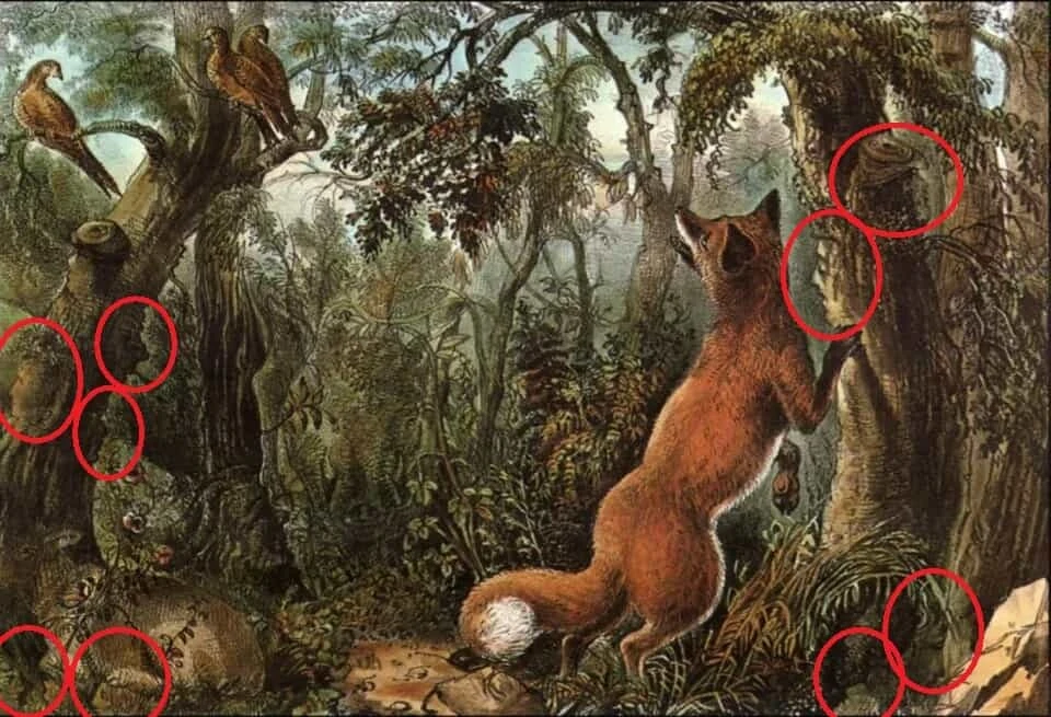 Üstün zekalı mısın? Yüksek IQ sahipleri 9 gizli yüzü 17 saniyede şıp diye tespit ediyor!