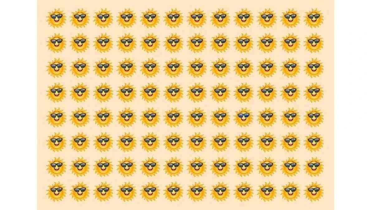 Zekanız ne kadar hızlı? 10 saniyede farklı güneşi bulan keskin zekalı olduğunu kanıtlıyor!