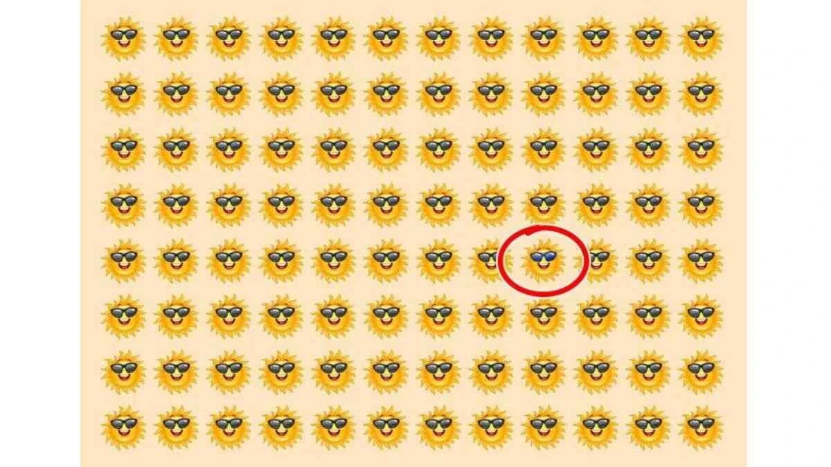 Zekanız ne kadar hızlı? 10 saniyede farklı güneşi bulan keskin zekalı olduğunu kanıtlıyor!