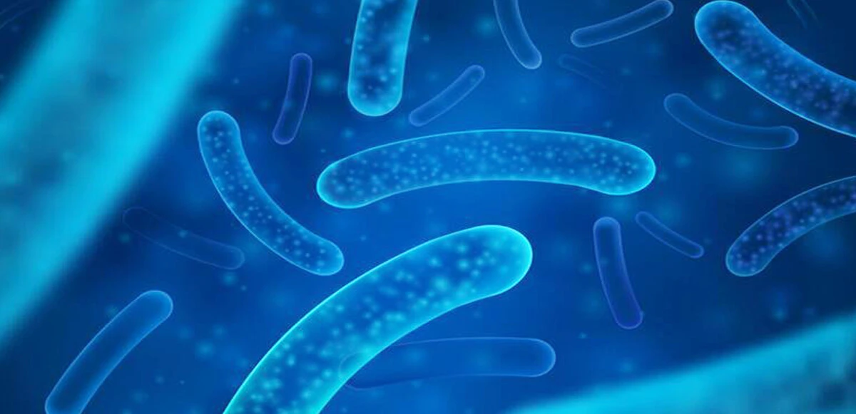 ABD'yi alarma geçiren bakteri! Gözde başlıyor, ölüme kadar götürüyor