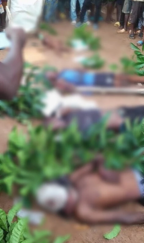 Nijerya'da çiftçiler birbirlerine girdi çatışmada kan döküldü: 18 köylü öldü