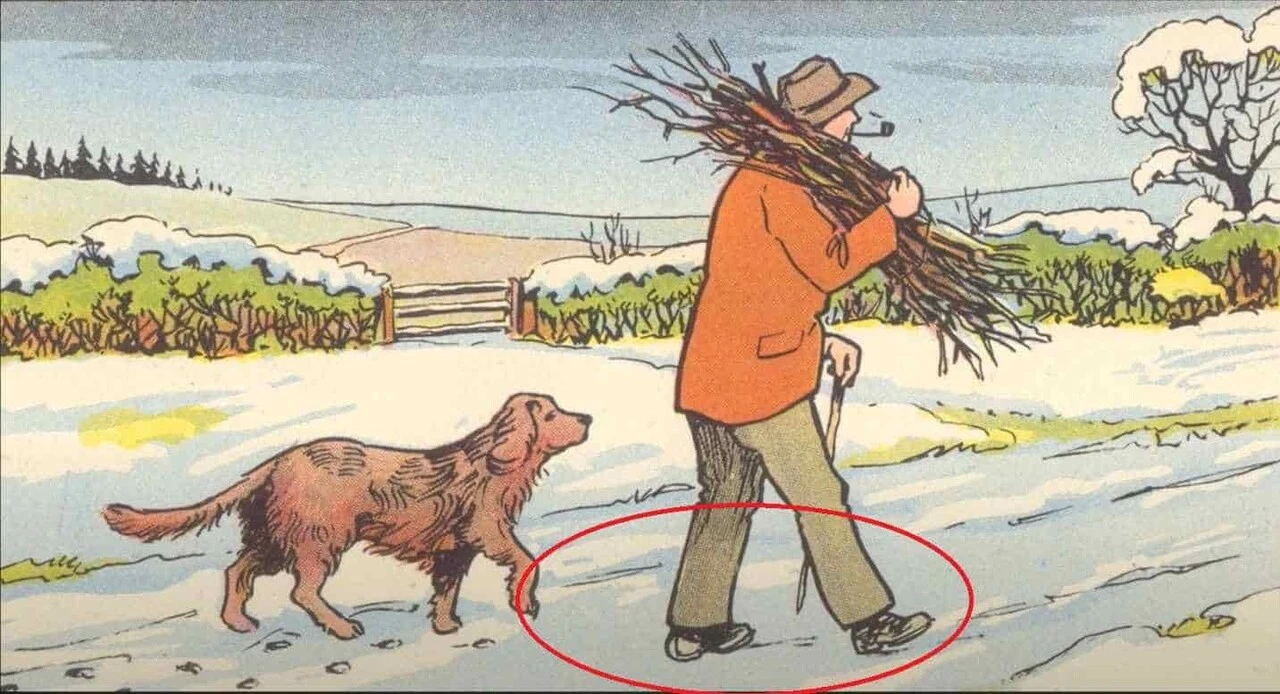 Süper dikkat testi! Adam ve köpek resmindeki hatayı sadece üstün zekalılar bulabiliyor!