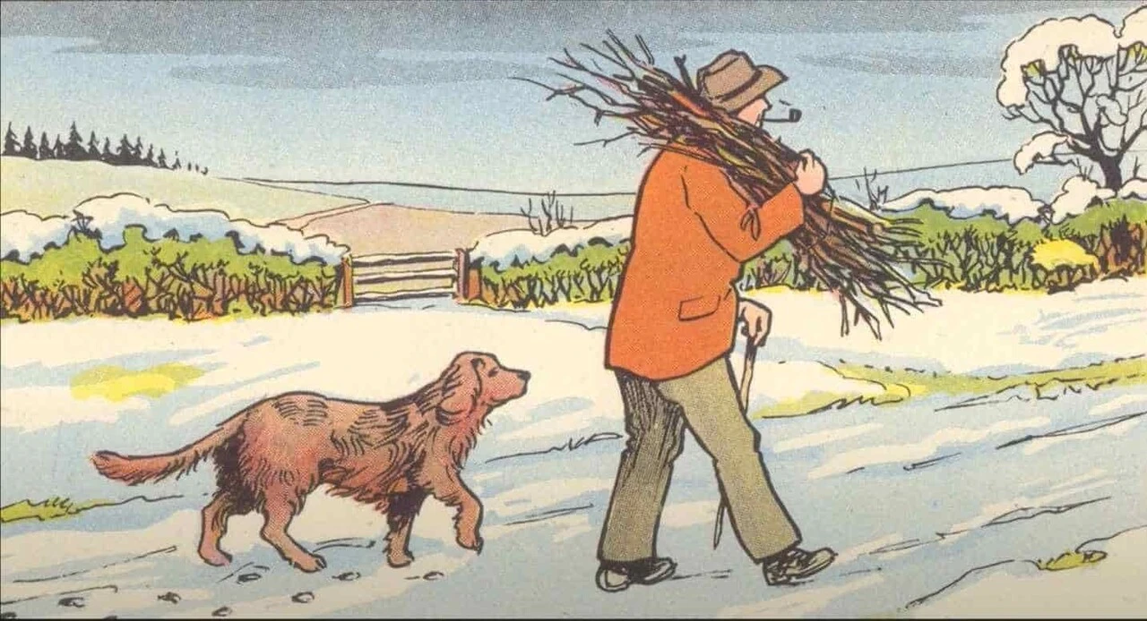 Süper dikkat testi! Adam ve köpek resmindeki hatayı sadece üstün zekalılar bulabiliyor!