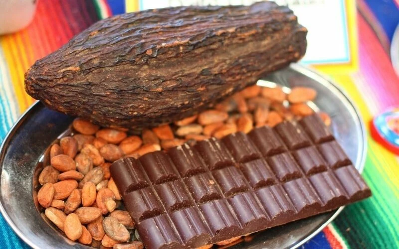 Tüketimi unutkanlığı önlüyor: Yaşa bağlı zihinsel gerilemeyi azaltıyor!