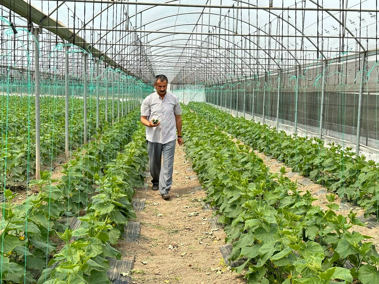 Müjdeli haber geldi! Fiyatlar düşecek
