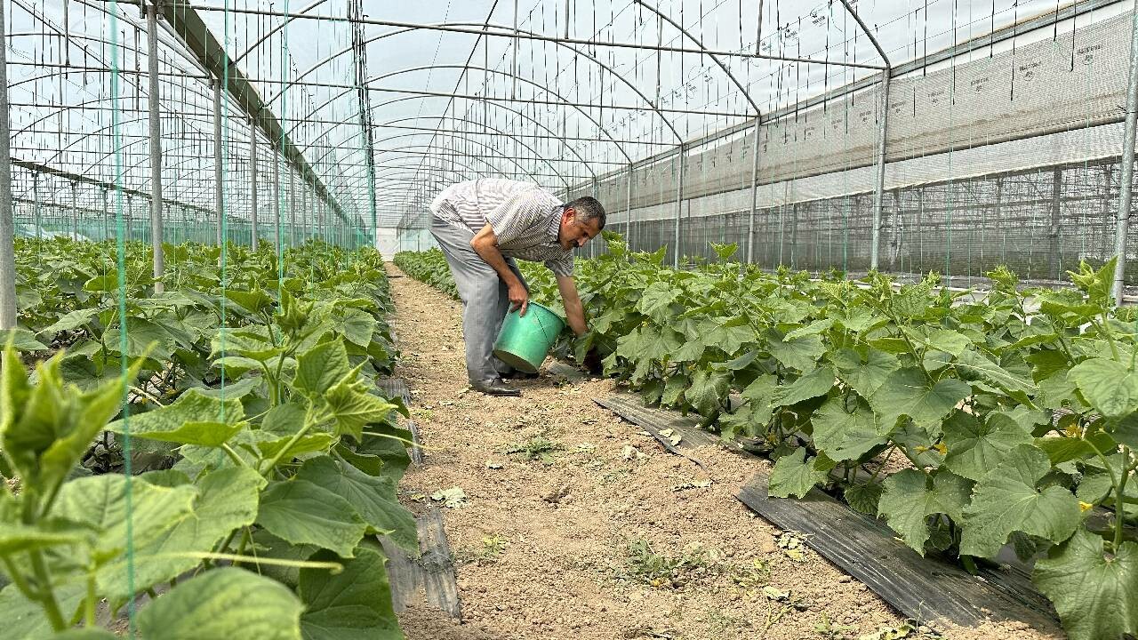 Müjdeli haber geldi! Fiyatlar düşecek