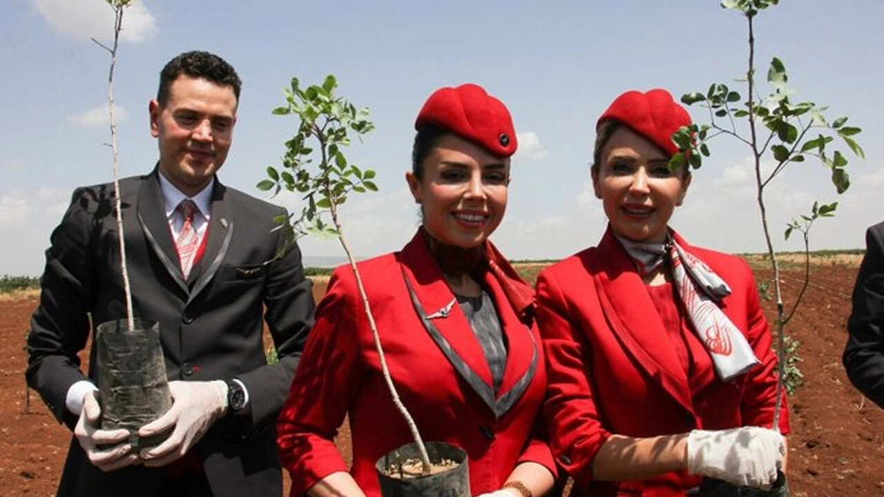 THY ile ÇEKUD işbirliğiyle Kilis'e 14 bin Antep fıstığı fidanı dikildi 