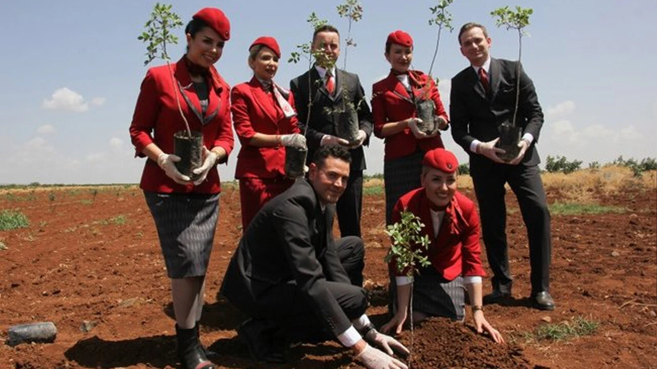 THY ile ÇEKUD işbirliğiyle Kilis'e 14 bin Antep fıstığı fidanı dikildi 