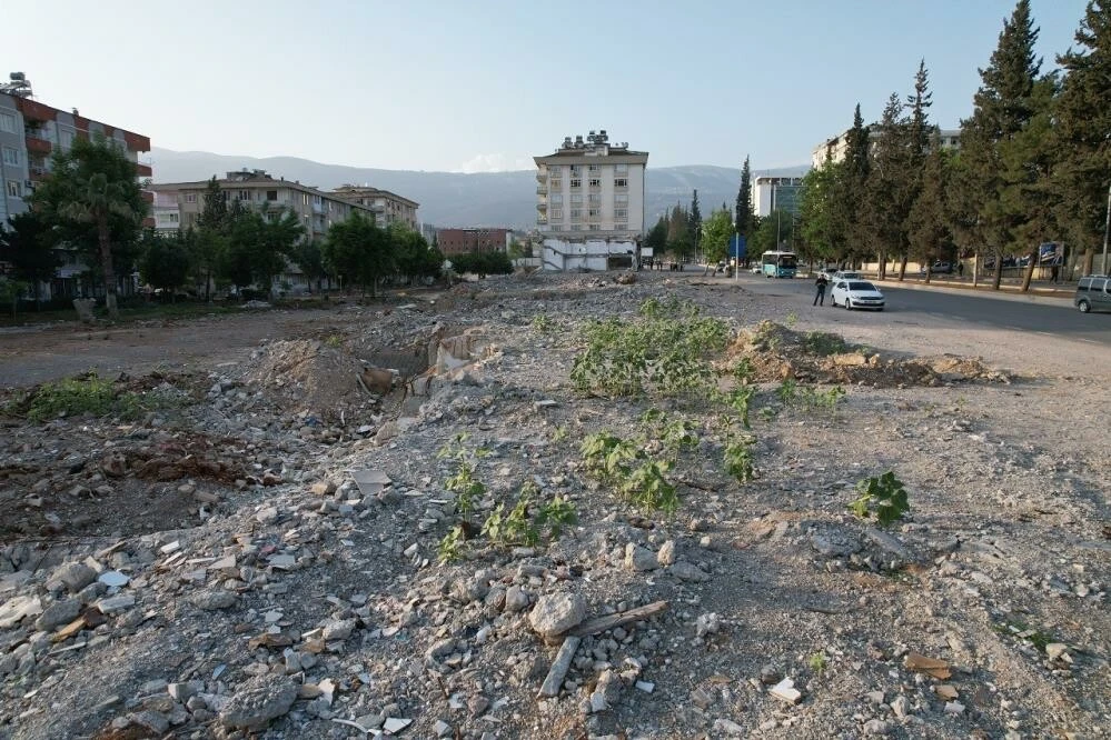 Depremden 3 ay 26 gün sonra boy verdi! Görenler şok oldu