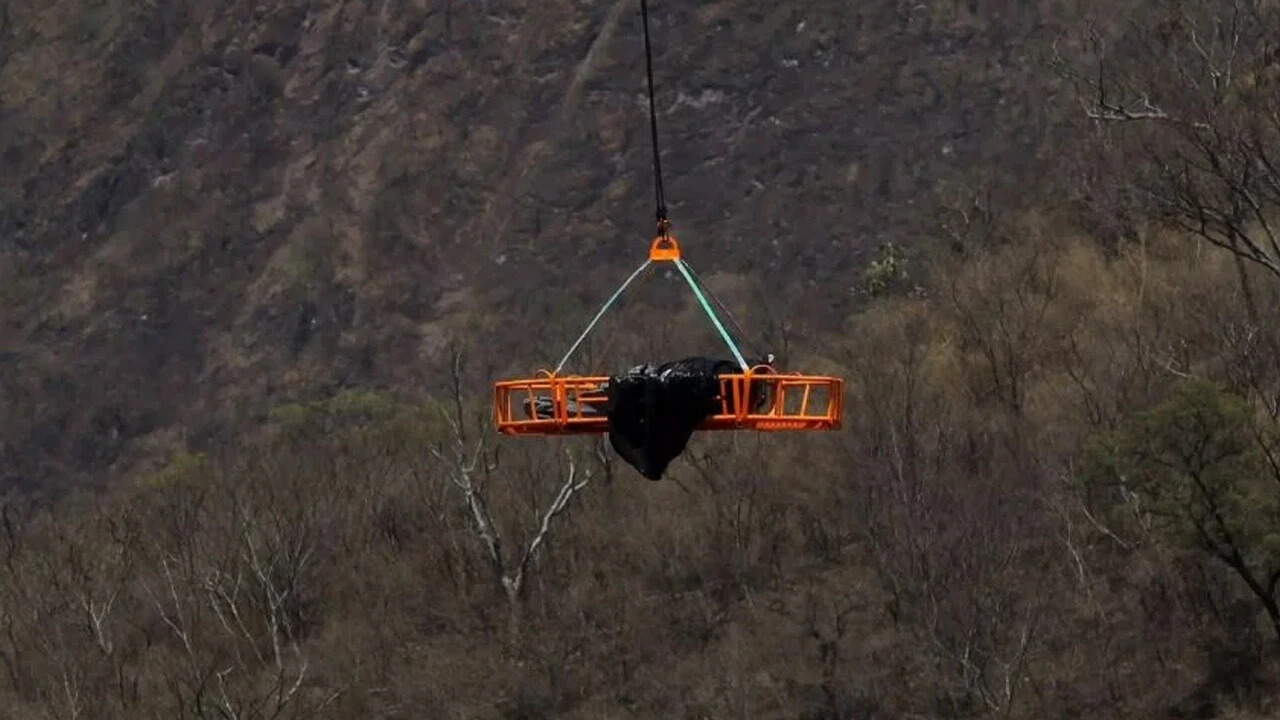Siyah torbalarda uçurumdan fırlatılmış 45 ceset! Meksika'da kanlı savaşlar sürüyor