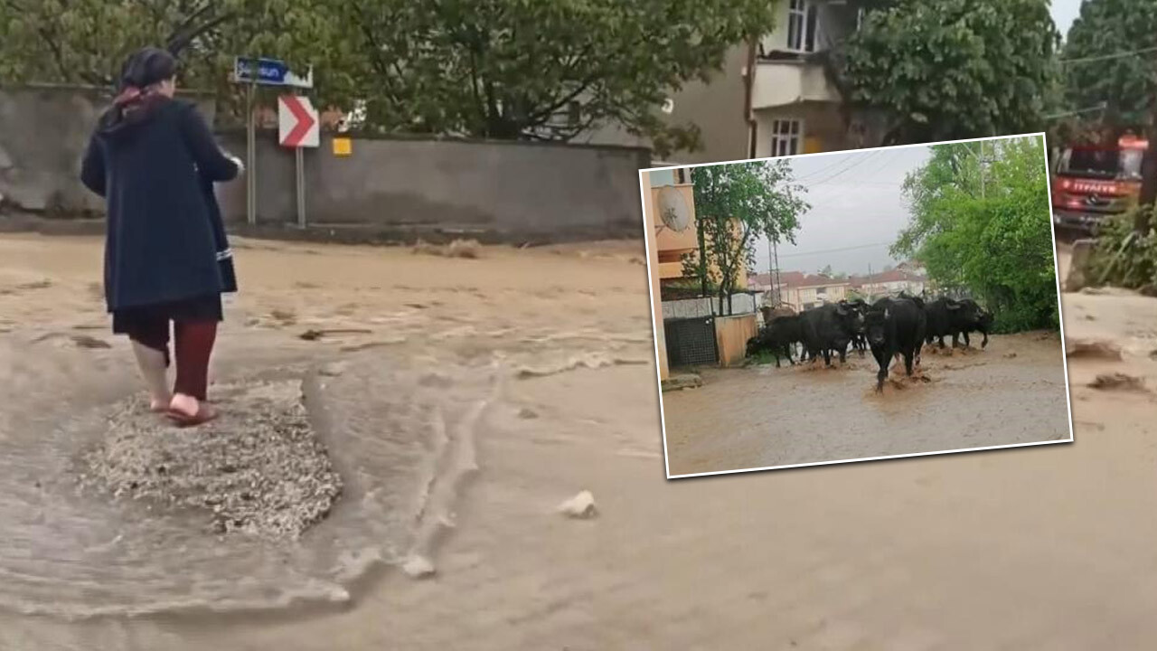 Samsun&#039;u sağanak vurdu! Evler su altında kaldı, yollar göle döndü 